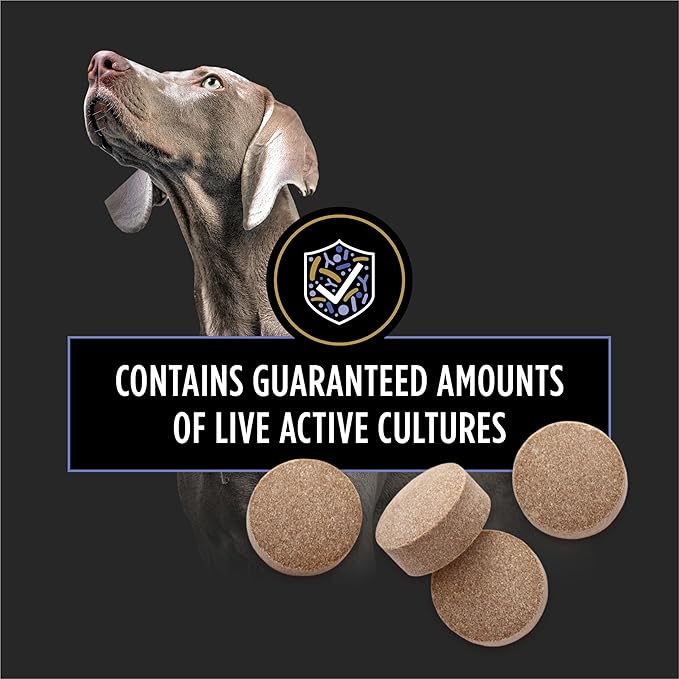 Purina Pro Plan Veterinary Supplements FortiFlora Daily Probiotics for Dogs Chewable Tablets for Digestive Gut Health and Diarrhea - 90 ct. Canister