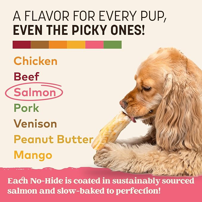 Earth Animal No Hide Chews - Long Lasting Rawhide Free Small Dog Chews Rolls, Salmon - 2 Count