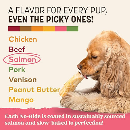 Earth Animal No Hide Chews - Long Lasting Rawhide Free Small Dog Chews Rolls, Salmon - 2 Count