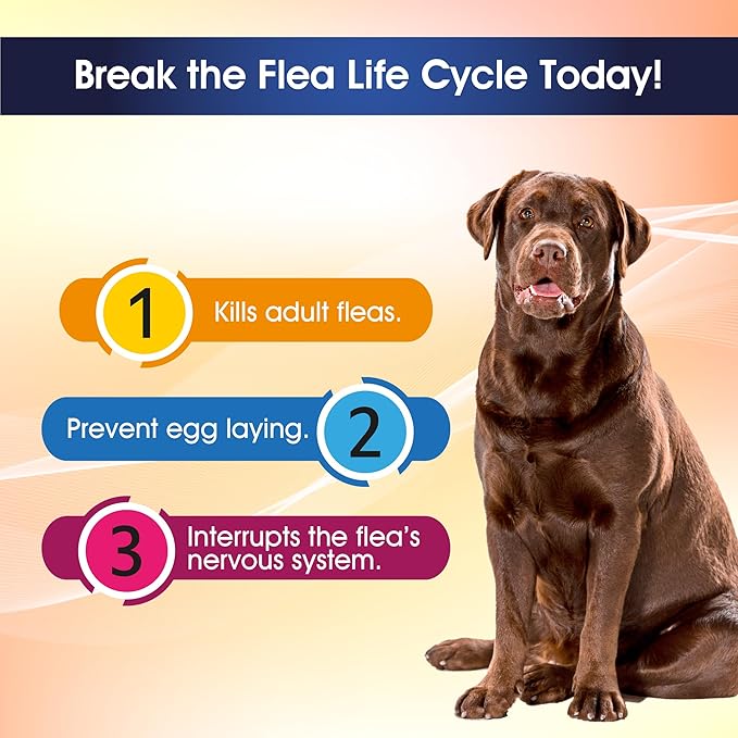 Giarcidia Say Good Bye to Flea and Ticks in Dogs & Cats Defender - Include 3ml Dropper with Cap