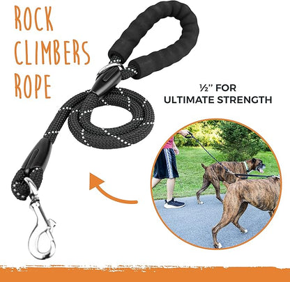 Mighty Paw Double Dog Leash with Rope Handle - Double Leash for Two Dogs No Tangle Design. Split Lead for 2 Pets. Adjustable to Fit All Sized Breeds. Reflective Dual Pet Lead for People with 2 Pups