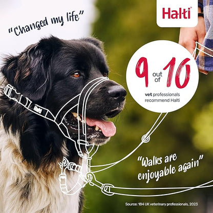 Halti Headcollar - Stop Your Dog Pulling on The Leash. Adjustable, Reflective and Lightweight, with Padded Nose Band. Dog Training Anti-Pull Collar for Medium Dogs (Size 2, Burnt Orange)