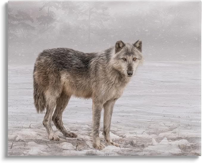 Stupell Industries Lone Coyote Wolf Snowy Field Landscape Intricate Details Canvas Wall Art, Design By Kelley Parker