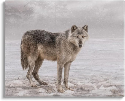 Stupell Industries Lone Coyote Wolf Snowy Field Landscape Intricate Details Canvas Wall Art, Design By Kelley Parker