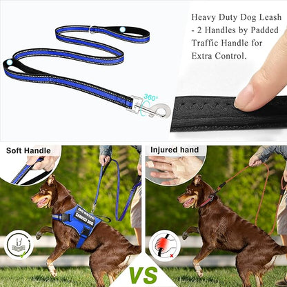 Service Dog Harness and Leash Set, Training Dog Vest with 10 Dog Patches, Emotional Support Therapy Dog Vest Harness for Small Medium Large and Extra Large Dogs(Blue, L)