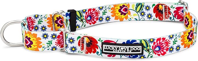 Lucky Love Dog Martingale Dog Collar - Adjustable, No-Slip, Durable, & Soft Webbing Collar for Male and Female Dogs Ideal for Training & Walking - Ladybird, Medium