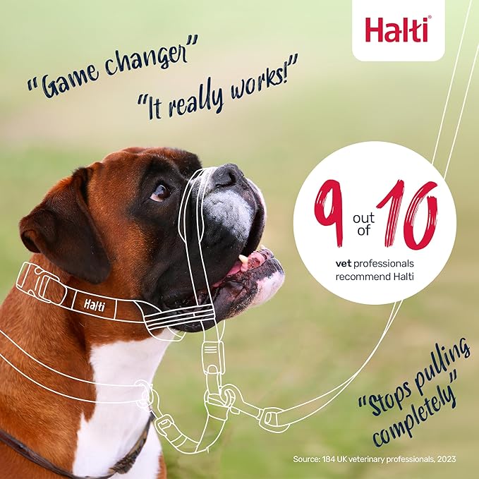 Halti Optifit Headcollar - Stop Your Dog Pulling on the Leash. Adjustable, Reflective and Lightweight, with Padded Nose Band. Dog Training Anti-Pull Collar for Medium Dogs (Size Medium)