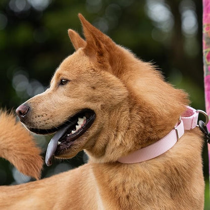 Hyhug Martingale Collar for Dogs Small Pink |Escape - Proof Heavy Duty Nylon Durable No Buckle, Ideal for Training & Daily Walks
