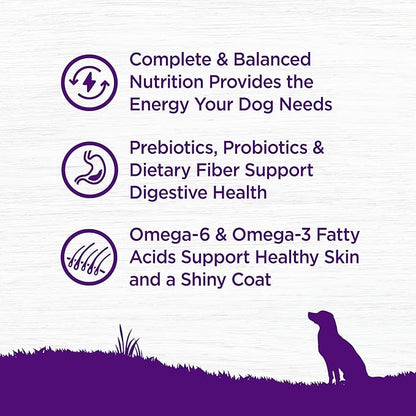 Wellness Complete Health Dry Dog Food, Wholesome Grains, Natural, Lamb & Barley, (5-Pound Bag)