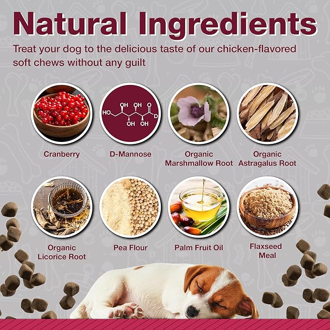 Cranberry Supplements for Dogs| Urinary Tract & Bladder Support| D Mannose & Antioxidants for Support| 120 Veterinarian Formulated Soft Chews| Up to 4-Month Supply