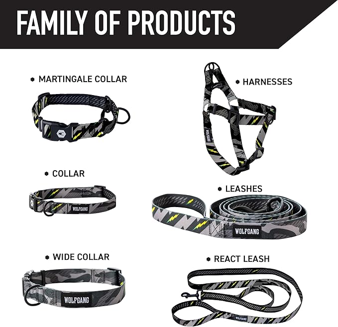 Wolfgang Heavy Duty Martingale Dog Collar with Quick Release Nylon Buckle for Walking & Training, DarkSkies Print, Small