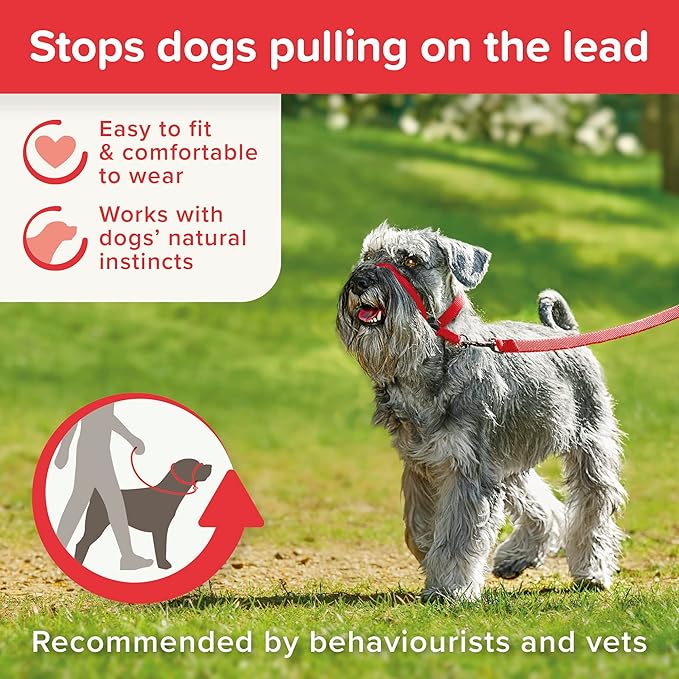 Beaphar | Gentle Leader | Head Collar for Small Dogs | Stops Pulling On The Lead | Training Aid with Immediate Effect| Endorsed by Behaviourists | Red x 1