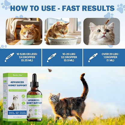 Cat Kidney Support, Kidney Support Supplement for Cats – Vet-Formulated Herbal Liquid with Rehmannia & Cordyceps to Help Support Healthy Kidney Function, Hydration, Appetite & Energy Level