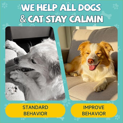2Pack Calming Drops for Dogs & Cats - Cat Calming Treats for Anxiety Relief , Relaxation, Sleep Aid with Schisandra Taurine , Separation, Soothing Calming Care for Indoor Pet -Roast Chicken Flavor