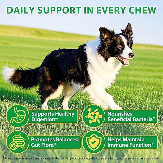 Dog Probiotic Chews, Duck Flavor Chewable Tablets for Dogs, Gut Health & Digestive Support with Probiotics & Prebiotics, Helps with Occasional Loose Stool, Gas & Sensitive Stomach, for All Breeds