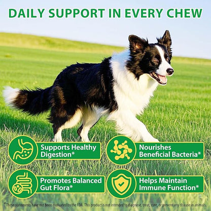 Dog Probiotic Chews, Duck Flavor Chewable Tablets for Dogs, Gut Health & Digestive Support with Probiotics & Prebiotics, Helps with Occasional Loose Stool, Gas & Sensitive Stomach, for All Breeds