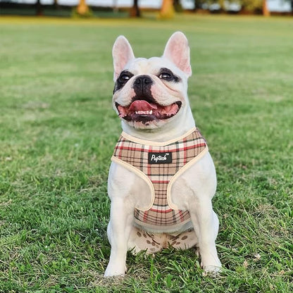 PUPTECK Soft Mesh Dog Harness and Leash Set Pet Puppy Cat Comfort Padded Vest No Pull Harnesses, Khaki, XL