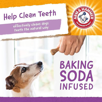 Arm & Hammer for Pets Nubbies Dental Treats - Baking Soda & Calcium Dog Dental Chews, Nubbed Texture Helps Scrub Plaque & Tartar While Chewing, Chicken Flavor, 20 Count, 7 Ounce - 24 Pack