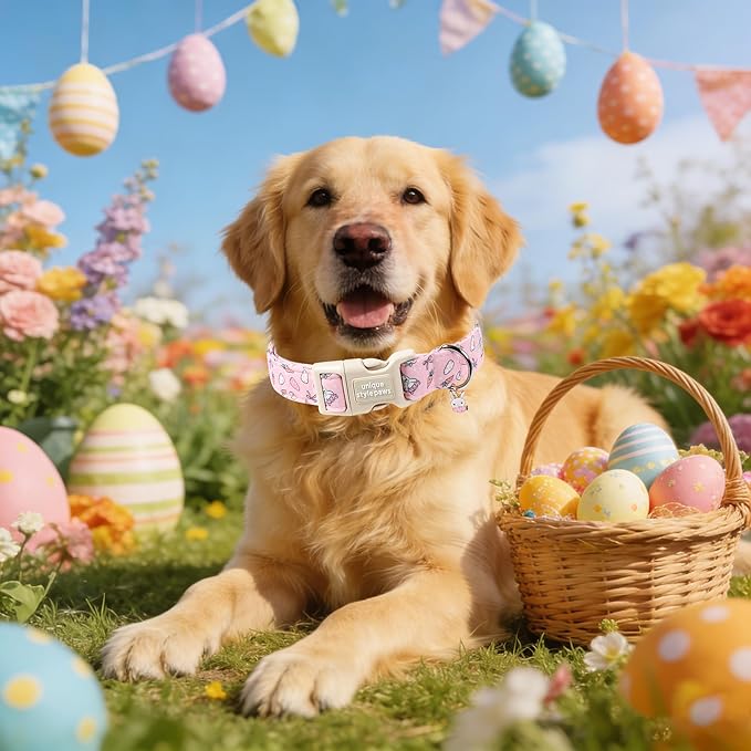 Unique style paws Dog Collar Plastic Buckle with Pendant Puppy Collar for Easter Carrot Rabbit for Small Medium Large Boys Girls Dogs