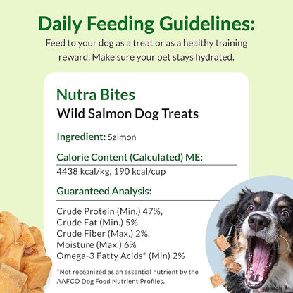 ULTIMATE PET NUTRITION Nutra Bites Freeze Dried Raw Single Ingredient Training Treats Food Topper for Dogs, 4 Ounces, Salmon