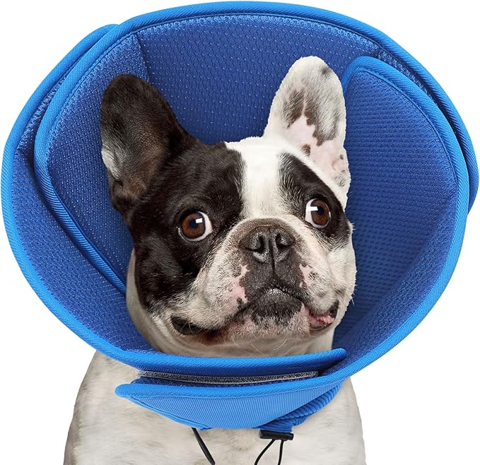 Queennmore Soft Dog Cone for Small Dogs,Adjustable Comfy Dog Cones Collar Alternative for Post-Surgery Wound Healing,Cone for Dogs to Stop Licking,Blue,S