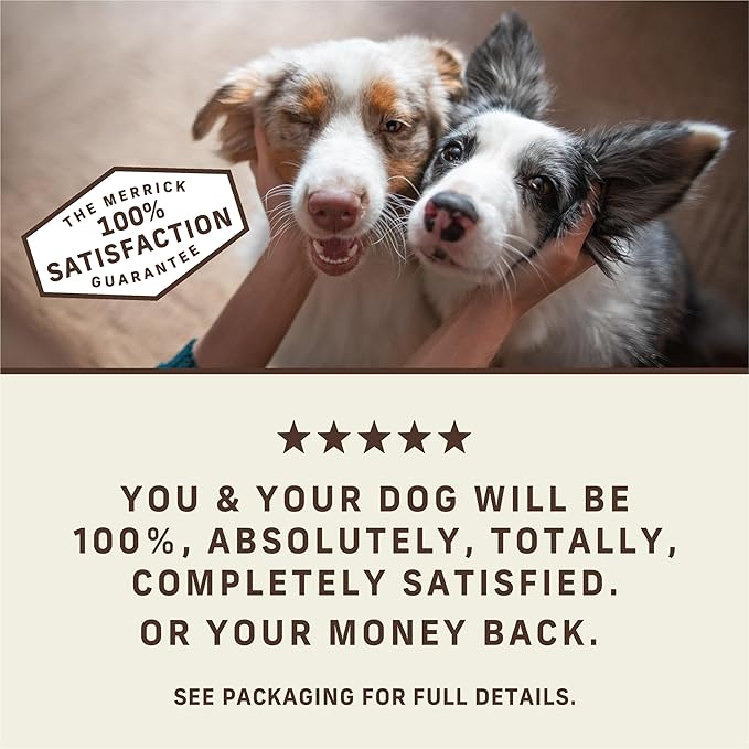 Merrick Power Bites Salmon Recipe Healthy Dog Treats, Real Salmon Grain-Free Dog Snacks, 6 oz Bag