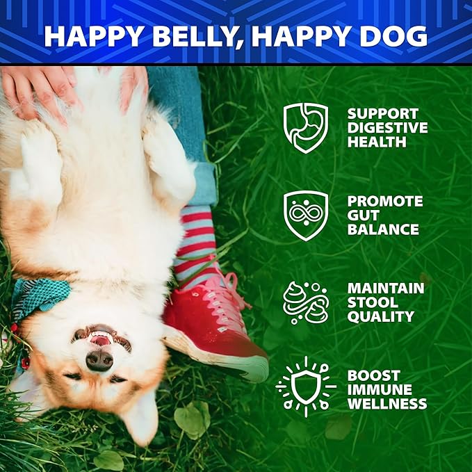 Dog Probiotics - 6 Billion CFU - Without Yeast - w/Prebiotics, Enzymes, Pumpkin - Advanced Probiotics for Dogs for Gut & Digestive Health, Seasonal Allergies & Itchy Skin, Yeast Balance - 120 Treats