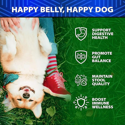 Dog Probiotics - 6 Billion CFU - Without Yeast - w/Prebiotics, Enzymes, Pumpkin - Advanced Probiotics for Dogs for Gut & Digestive Health, Seasonal Allergies & Itchy Skin, Yeast Balance - 120 Treats