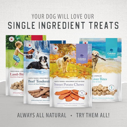 Caledon Farms Value Pack Beef Tendersticks All Natural Dog Treats 340G/12OZ