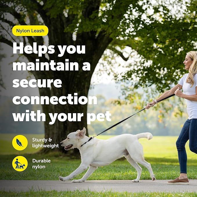 PetSafe Nylon Leash - Strong Dog Leash for Everyday Use - Secure & Simple Design for Reliable Control - Lightweight with Durable Hardware - 3/8 Inch - 6 Feet - Blue