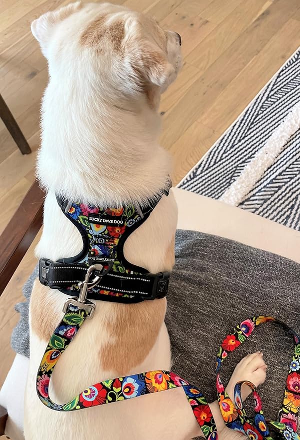 Lucky Love Dog No Pull Dog Harness, Adjustable and Easy to Walk, Cute Patterned Harness for SmallMale & Female Dogs - Blackbird, Small