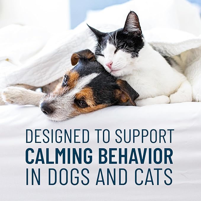 Nutramax Solliquin Calming Behavioral Health Supplement for Small to Medium Dogs and Cats - with L-Theanine,Magnolia/Phellodendron,and Whey Protein Concentrate,75 Soft Chews,(Pack of 2)