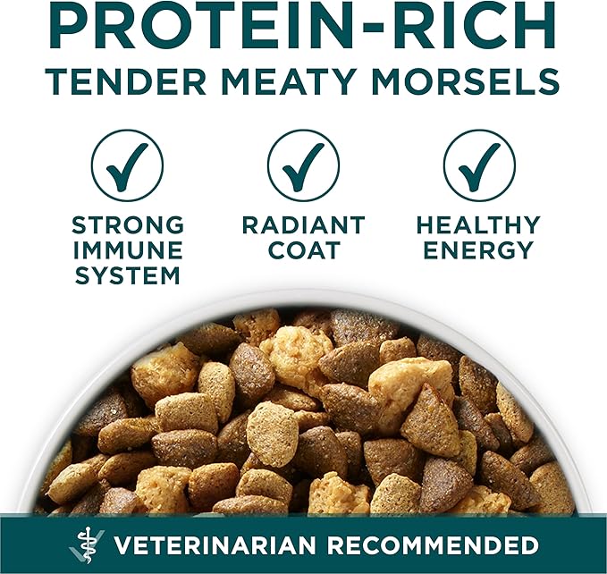 Purina ONE Plus Puppy Dry Dog Food for Large Dogs High Protein Growth Support, Real Chicken - 31.1 lb Bag