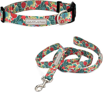 Lucky Love Dog - Easy Click Buckle Dog Collar with Leash Set Combo, Durable & Comfortable for Male & Female Dogs, Pet Collar for Large Dogs, Secure Fit - Ginny Combo, Large