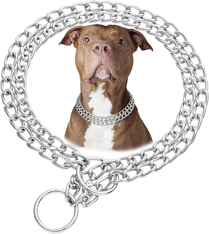 Silver Dog Choker Chain, Double Row Martingale Chain Dog Collars, Chew Proof Metal Cuban Link Slip Collar Adjustable for Small Medium Large Breed Dogs (2 Row, M)