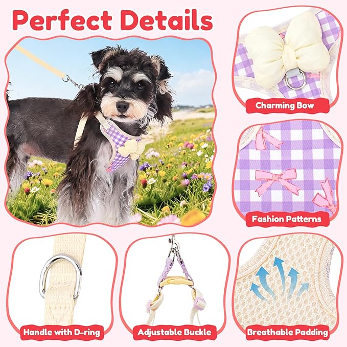 Coppthinktu Dog Harness for Small Sized Dogs, Puppy Cat Harness with Leash Set No Pull Dog Harness Adjustable Reflective Step-in Pet Vest Harnesses with Cute Bow Soft Padded Outdoor Walking