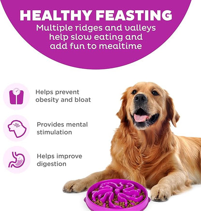 Outward Hound Fun Feeder Slo Bowl – Large 4‑Cup Capacity, Slow Feeding, Medium to Large Dogs, Non‑Slip, Purple, Flower Pattern