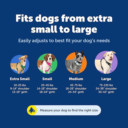 PetSafe Easy Walk Comfort No-Pull Dog Harness - Better Walk Training Harness - Full Body Padded Design - Durable Fabric - 5 Point Adjustable Fit - Everyday Leash Training - Blue - Small/Medium