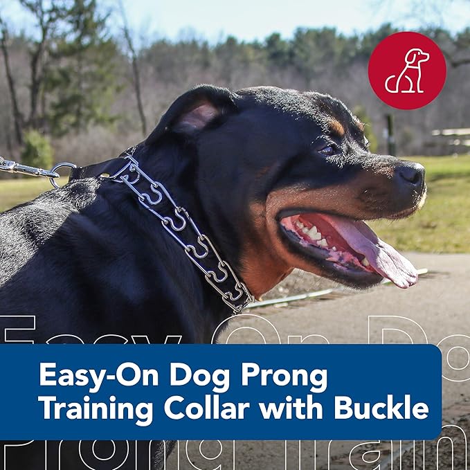 Coastal Pet Titan Easy-On Dog Prong Training Collar with Buckle - Durable Metal Training Collar for Dogs with Side Release Buckle - Black, 3.3 mm x 20".