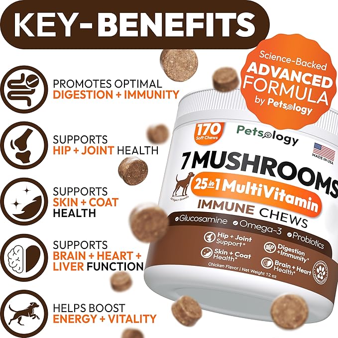 (2 Pack) Turkey Tail Mushroom for Dogs - 340 Chews - Lion’s Mane - Shiitake - Reishi - Buddy Immune Support Guard - Mushroom Supplement for Dogs with Glucosamine, Health Vitamins Multivitamin
