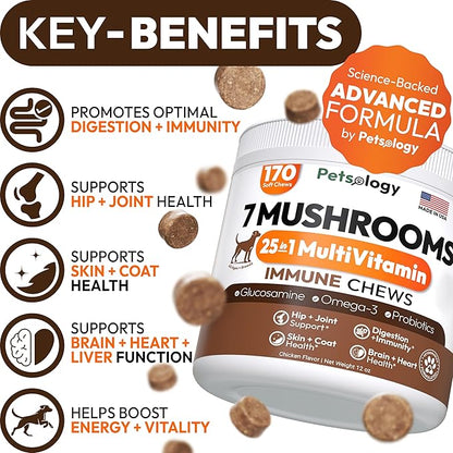 (2 Pack) Turkey Tail Mushroom for Dogs - 340 Chews - Lion’s Mane - Shiitake - Reishi - Buddy Immune Support Guard - Mushroom Supplement for Dogs with Glucosamine, Health Vitamins Multivitamin