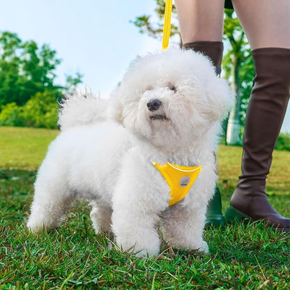 Hipubby Dog Harness and Leash Set, No Pull Soft Mesh Puppy Harness for Small Medium Dogs, Cats - Step in Reflective Breathable Lightweight Vest Harness for Walking, Training - Yellow, XXS
