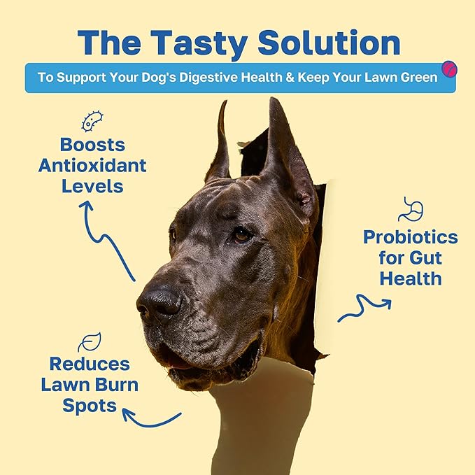 Happy Paws Lawn Saver Supplement, Probiotics for Dogs to Help Grass Stay Green & Prevent Lawn Burn, Digestive Health Support with Antioxidants & Fiber, Vegan Chicken Flavor, Non GMO, 200 Soft Chews