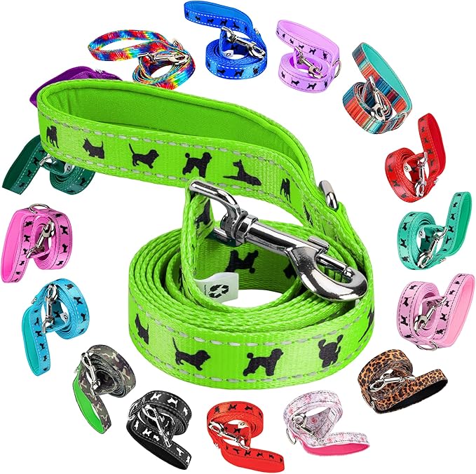 EcoBark Dog Leash - Soft & Reflective Comfort Leashes with Padded Handle - Strong Durable Heavy Duty - Training and Pulling for Small, Medium or Large Dogs (Green)