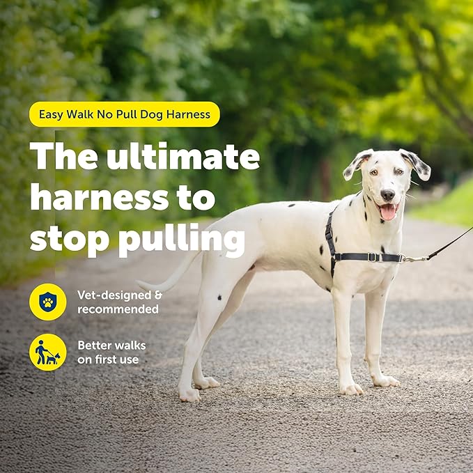 PetSafe Easy Walk Harness for Dogs - Pull-Free Walks - Patented Martingale Loop Design - Front Chest Leash Attachment - Comfort Straps - Breathable Harness Design - Medium/Large, Charcoal/Black