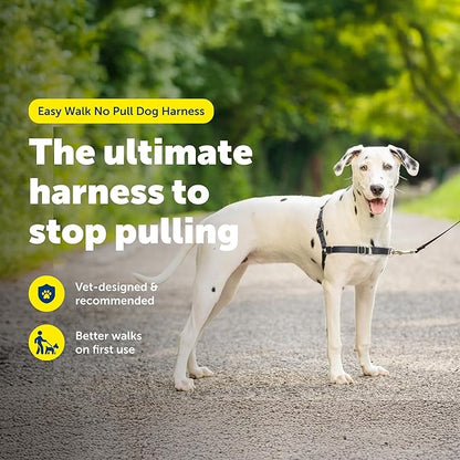 PetSafe Easy Walk Harness for Dogs - Pull-Free Walks - Patented Martingale Loop Design - Front Chest Leash Attachment - Comfort Straps - Breathable Harness Design - Medium/Large, Charcoal/Black