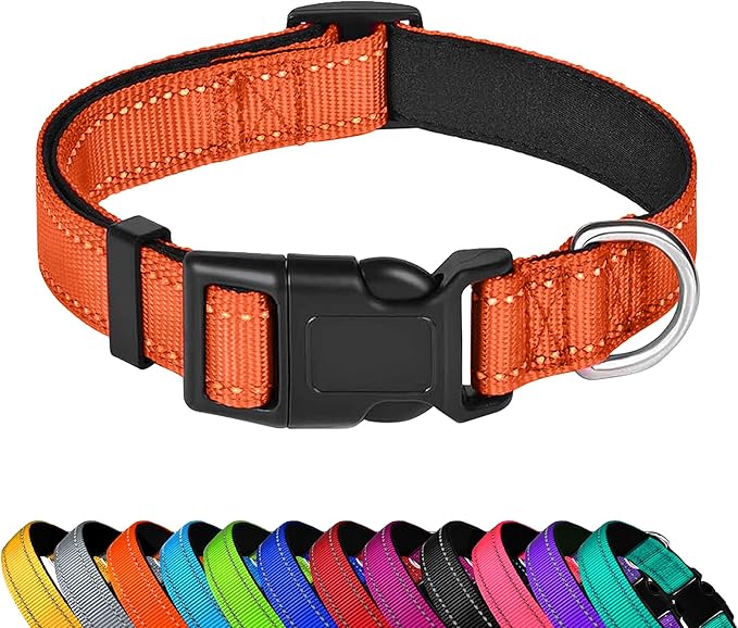 Reflective Dog Collar, Adjustable Soft Neoprene Padded Nylon Pet Collars with Buckle for Puppy and Small Dogs, Cats, Orange,XS