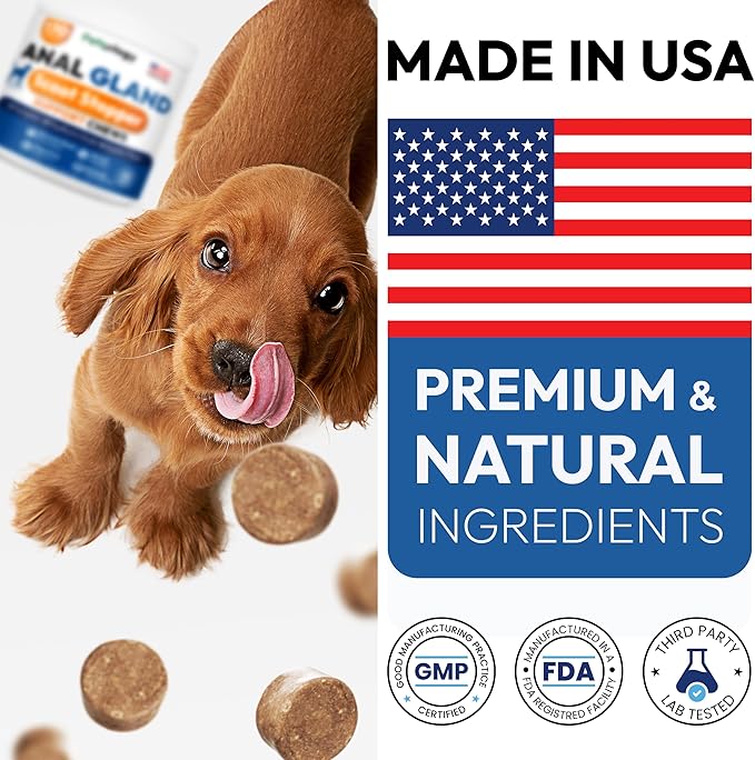 Anal Gland Support Chews for Dogs - 170 Ct - Scoot Treatment - Dog Anal Gland Supplement - Pumpkin, Psyllium Husk, Fiber - Supports Gut Health & Stool Quality - Digestive Enzymes - Made in USA