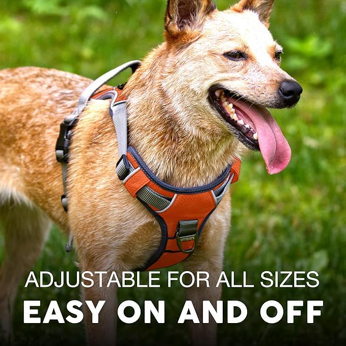 Embark Adventure Small Dog Harness – No-Pull, Reflective Trim, Military-Grade Nylon, Front Clip with Gel-Lined Handle