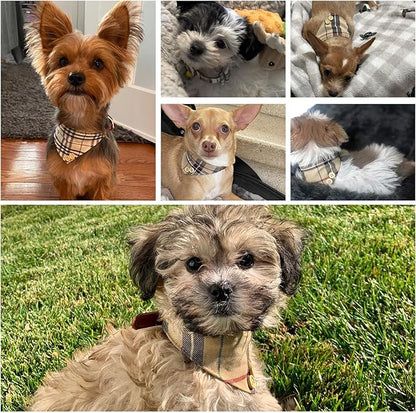 EXPAWLORER Dog Collar and Bandana Set - Classic Plaid Dog Bow Tie and Bandana Collar with PU Leather, Adjustable Collars for Small Medium Large Dogs Cats, Holiday Ideal Gift, Beige S